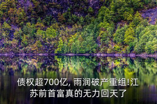 債權超700億, 雨潤破產(chǎn)重組!江蘇前首富真的無力回天了