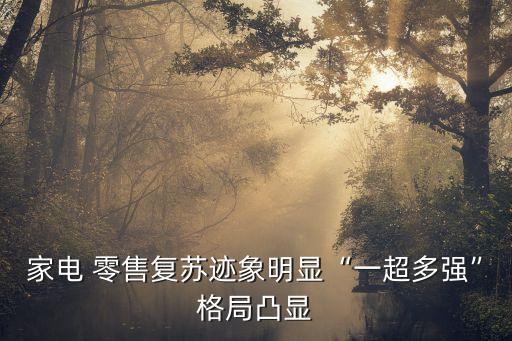 家電 零售復蘇跡象明顯“一超多強”格局凸顯