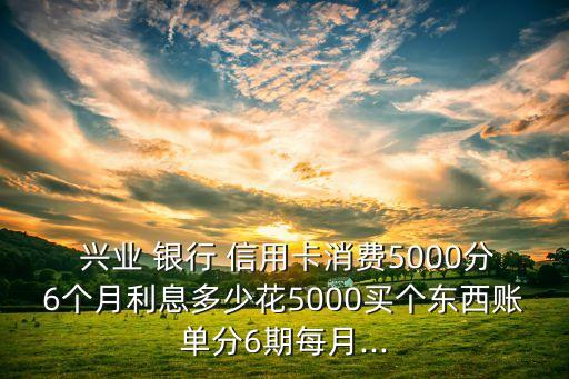  興業(yè) 銀行 信用卡消費(fèi)5000分6個月利息多少花5000買個東西賬單分6期每月...