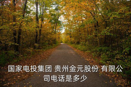 國(guó)家電投集團(tuán) 貴州金元股份 有限公司電話(huà)是多少