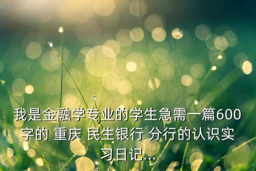 我是金融學(xué)專業(yè)的學(xué)生急需一篇600字的 重慶 民生銀行 分行的認識實習(xí)日記...