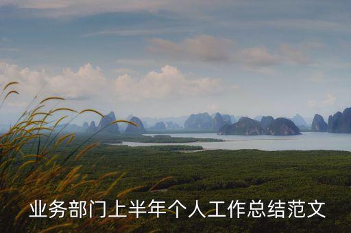  業(yè)務(wù)部門(mén)上半年個(gè)人工作總結(jié)范文