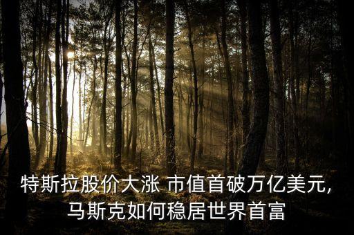 特斯拉股價(jià)大漲 市值首破萬(wàn)億美元,馬斯克如何穩(wěn)居世界首富