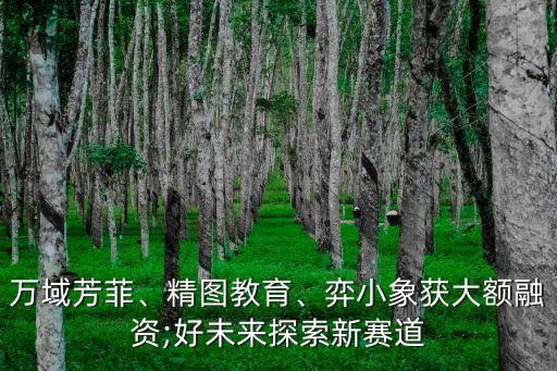 萬域芳菲、精圖教育、弈小象獲大額融資;好未來探索新賽道