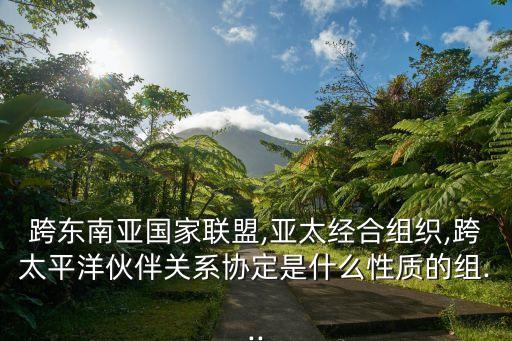 跨東南亞國家聯(lián)盟,亞太經(jīng)合組織,跨太平洋伙伴關(guān)系協(xié)定是什么性質(zhì)的組...