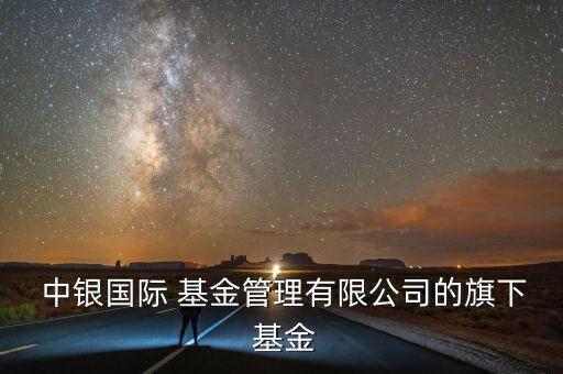  中銀國(guó)際 基金管理有限公司的旗下 基金