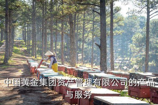 中國(guó)黃金集團(tuán)資產(chǎn)管理有限公司的產(chǎn)品與服務(wù)