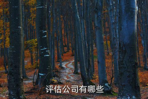 四川標準資產(chǎn)評估有限責(zé)任公司,四川永道合資產(chǎn)評估有限責(zé)任公司