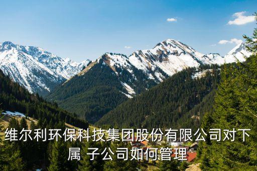 維爾利環(huán)?？萍技瘓F(tuán)股份有限公司對(duì)下屬 子公司如何管理