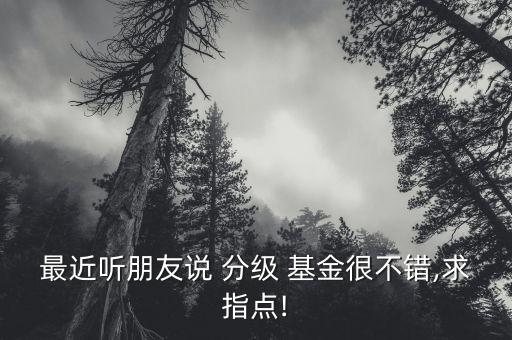 最近聽朋友說 分級 基金很不錯,求指點(diǎn)!
