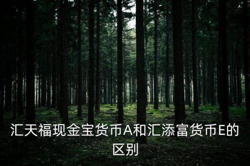 匯天?，F(xiàn)金寶貨幣A和匯添富貨幣E的區(qū)別