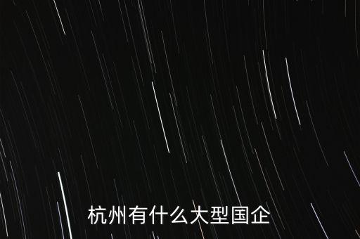 杭州有什么大型國(guó)企