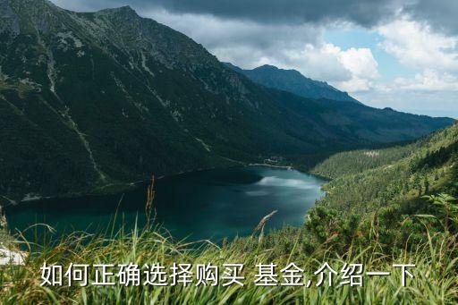 如何正確選擇購(gòu)買 基金,介紹一下