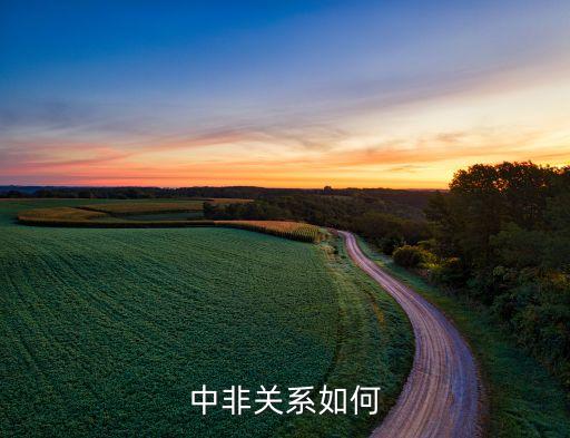 中非關系如何