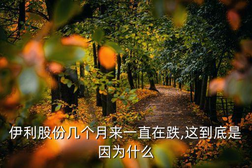 伊利股份幾個月來一直在跌,這到底是因?yàn)槭裁? class=