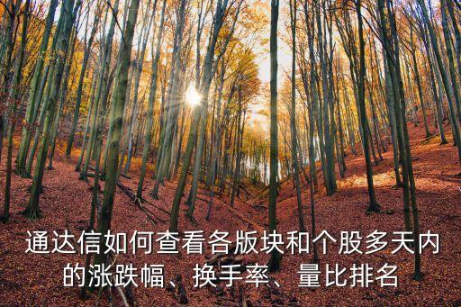 通達(dá)信如何查看各版塊和個(gè)股多天內(nèi)的漲跌幅、換手率、量比排名