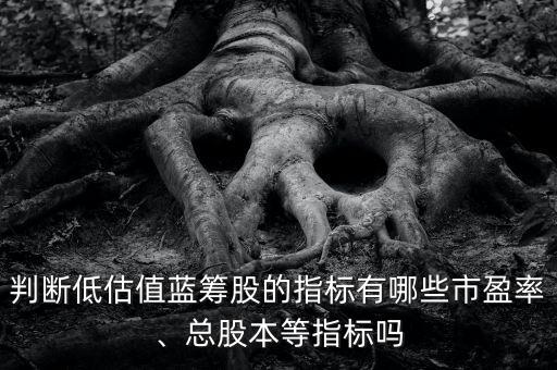 判斷低估值藍(lán)籌股的指標(biāo)有哪些市盈率、總股本等指標(biāo)嗎