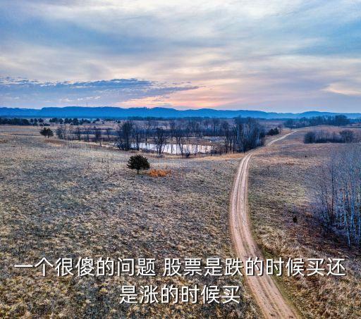 一個(gè)很傻的問題 股票是跌的時(shí)候買還是漲的時(shí)候買