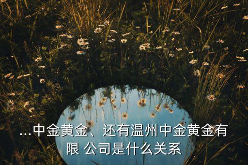 ...中金黃金、還有溫州中金黃金有限 公司是什么關(guān)系