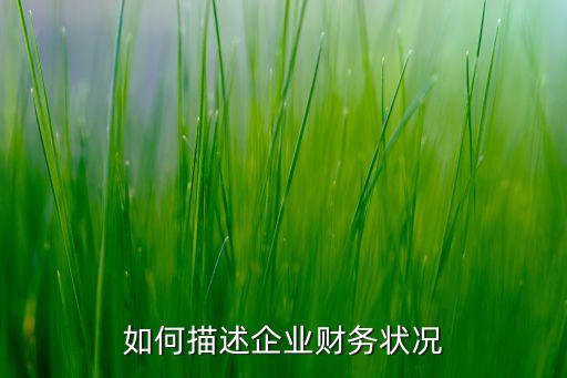 公司資金情況