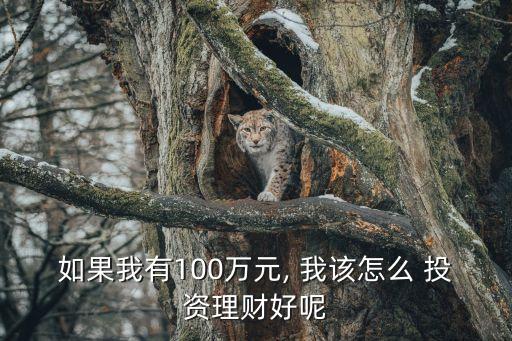 如果我有100萬(wàn)元, 我該怎么 投資理財(cái)好呢