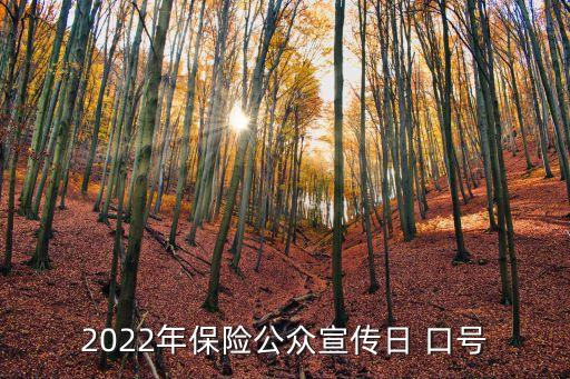 中國人壽保險財保險品牌口號是