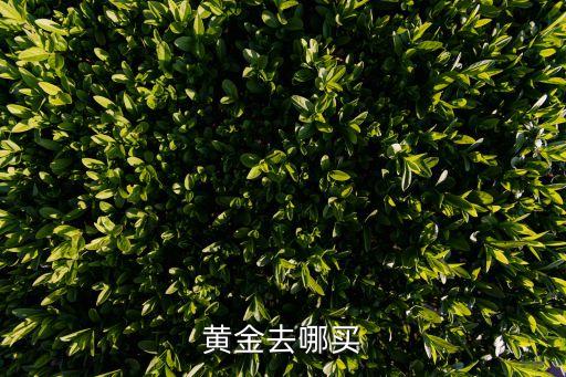 黃金去哪買(mǎi)