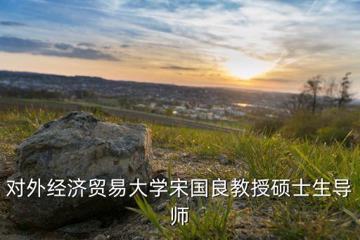 對外經濟貿易大學宋國良教授碩士生導師