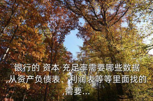  銀行的 資本 充足率需要哪些數(shù)據(jù),從資產(chǎn)負債表、利潤表等等里面找的,需要...
