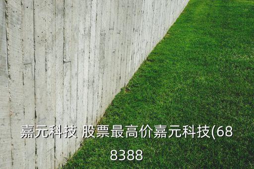嘉元科技 股票最高價(jià)嘉元科技(688388