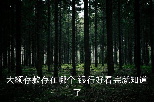 巨額資金存哪家國(guó)際銀行好