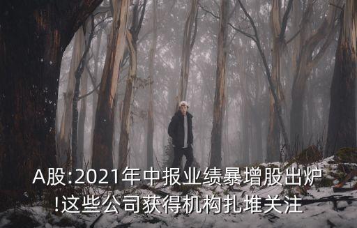 A股:2021年中報業(yè)績暴增股出爐!這些公司獲得機(jī)構(gòu)扎堆關(guān)注