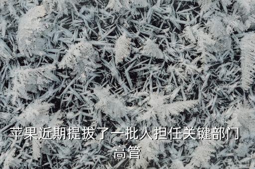 蘋果近期提拔了一批人擔任關(guān)鍵部門 高管