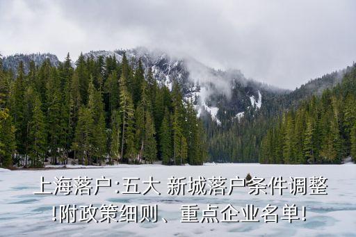  上海落戶:五大 新城落戶條件調(diào)整!附政策細(xì)則、重點(diǎn)企業(yè)名單!
