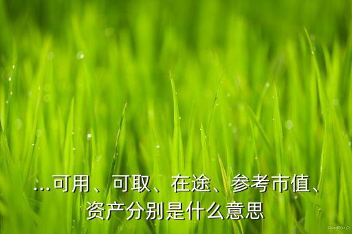 ...可用、可取、在途、參考市值、資產(chǎn)分別是什么意思