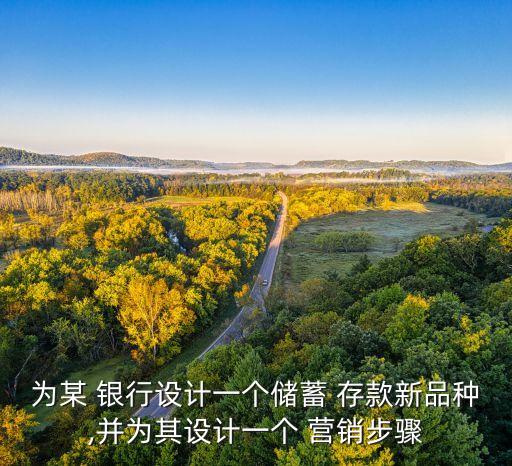 為某 銀行設計一個儲蓄 存款新品種,并為其設計一個 營銷步驟