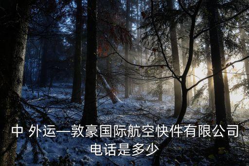 中 外運(yùn)—敦豪國(guó)際航空快件有限公司電話(huà)是多少