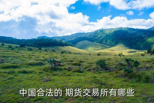 中國(guó)期貨自律機(jī)構(gòu)