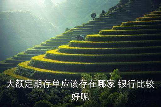 大額定期存單應該存在哪家 銀行比較好呢