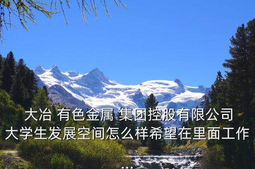 黃石大冶有色集團,大冶有色集團領(lǐng)導(dǎo)班子調(diào)整