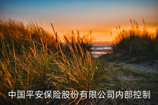 中國平安保險股份有限公司內部控制