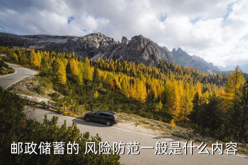 郵政儲蓄的 風(fēng)險防范一般是什么內(nèi)容