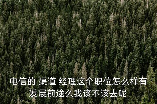 電信的 渠道 經(jīng)理這個(gè)職位怎么樣有發(fā)展前途么我該不該去呢