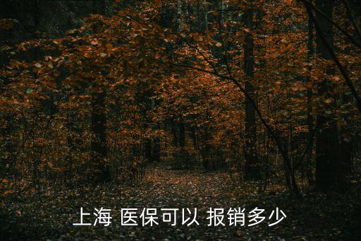 上海 醫(yī)?？梢?報(bào)銷多少