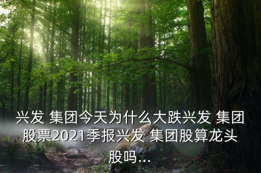 興發(fā) 集團(tuán)今天為什么大跌興發(fā) 集團(tuán)股票2021季報興發(fā) 集團(tuán)股算龍頭股嗎...