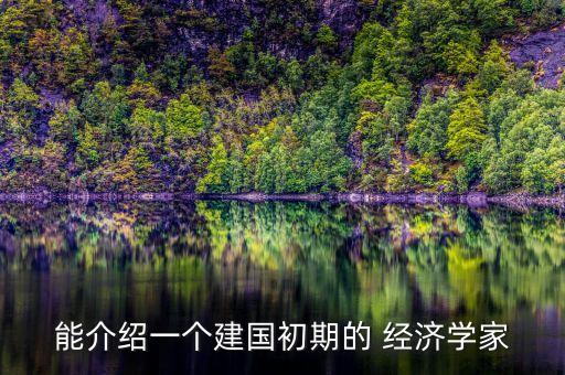 中國經(jīng)濟學家h是指誰