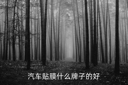 汽車(chē)貼膜什么牌子的好
