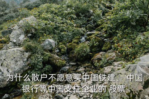 為什么散戶不愿意買中國鐵建、 中國銀行等中國支柱企業(yè)的 股票