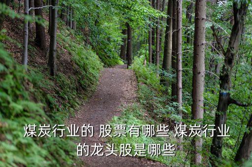 高轉送股票煤炭,分紅轉送的股票什么時候到賬