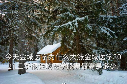 中國高科3季度業(yè)績(jī),首航高科二季度業(yè)績(jī)